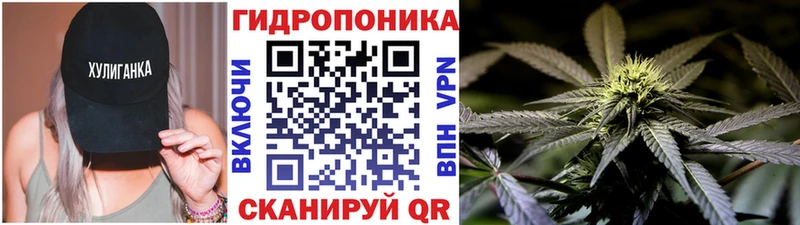 Канабис VHQ  Калачинск 